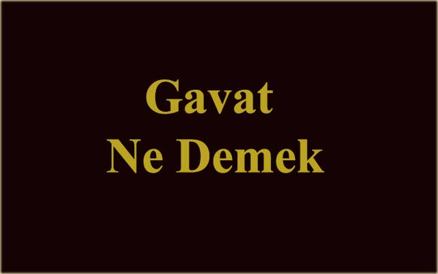 Gavat Ne Demek