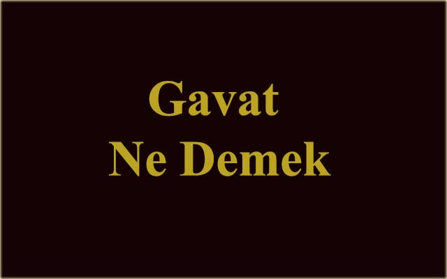 Gavat ne